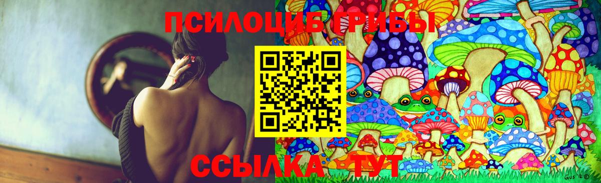 Галлюциногенные грибы Cubensis  Вход с VPN  Самара 